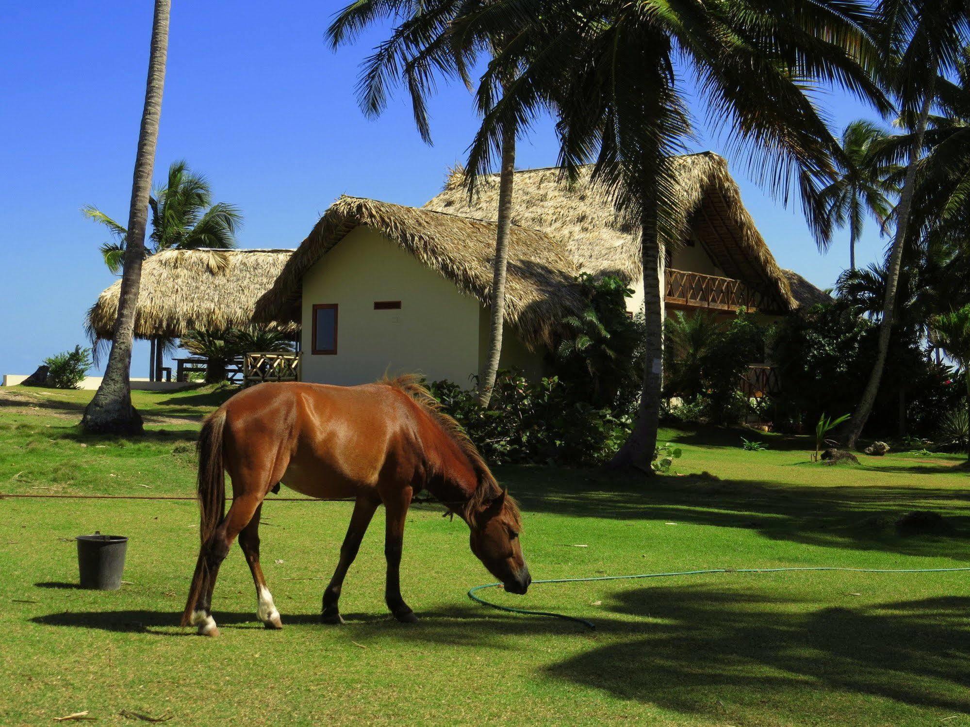 Villa Punta Coral El Frances Екстер'єр фото
